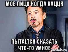 мое лицо когда кацця пытается сказать что-то умное