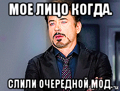 мое лицо когда. слили очередной мод.