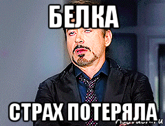 белка страх потеряла