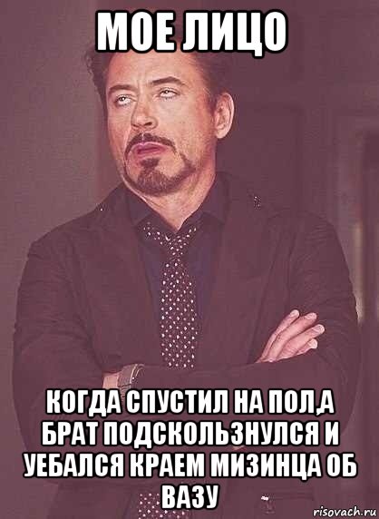 мое лицо когда спустил на пол,а брат подскользнулся и уебался краем мизинца об вазу, Мем  Мое выражение лица (вертик)