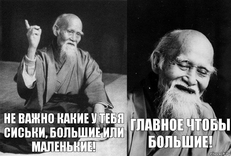 Не важно какие у тебя сиськи, большие или маленькие! Главное чтобы большие!, Комикс Мудрец-монах (2 зоны)