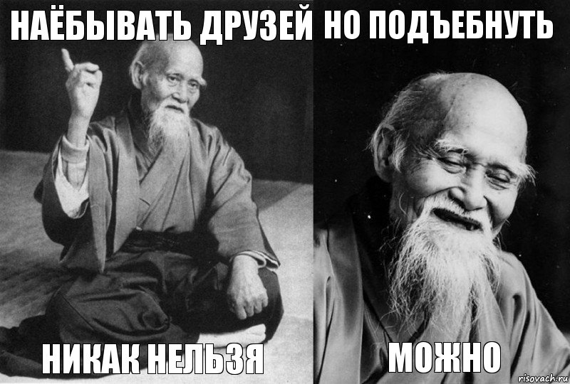 Наёбывать друзей Никак нельзя Но подъебнуть Можно, Комикс Мудрец-монах (4 зоны)