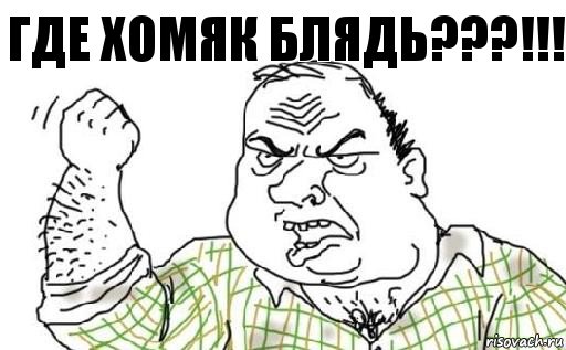 Где хомяк блядь???!!!, Комикс Мужик блеать