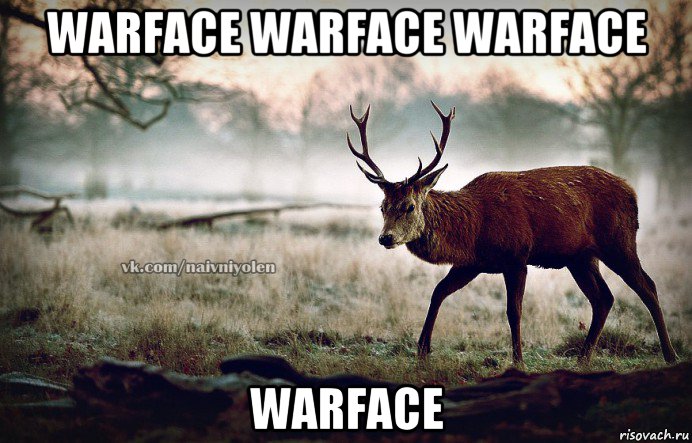 warface warface warface warface