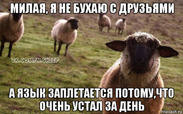 милая, я не бухаю с друзьями а язык заплетается потому,что очень устал за день, Мем  Наивная Овца