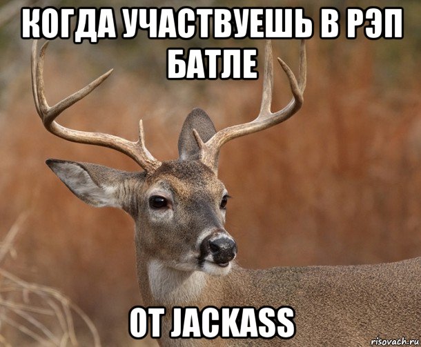 когда участвуешь в рэп батле от jackass, Мем  Наивный Олень v2