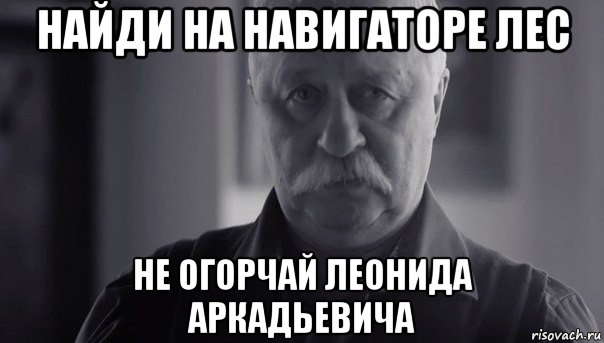 найди на навигаторе лес не огорчай леонида аркадьевича, Мем Не огорчай Леонида Аркадьевича