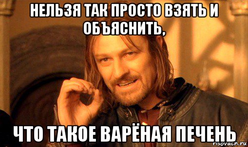 нельзя так просто взять и объяснить, что такое варёная печень, Мем Нельзя просто так взять и (Боромир мем)