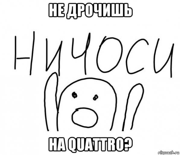 не дрочишь на quattro?, Мем  Ничоси