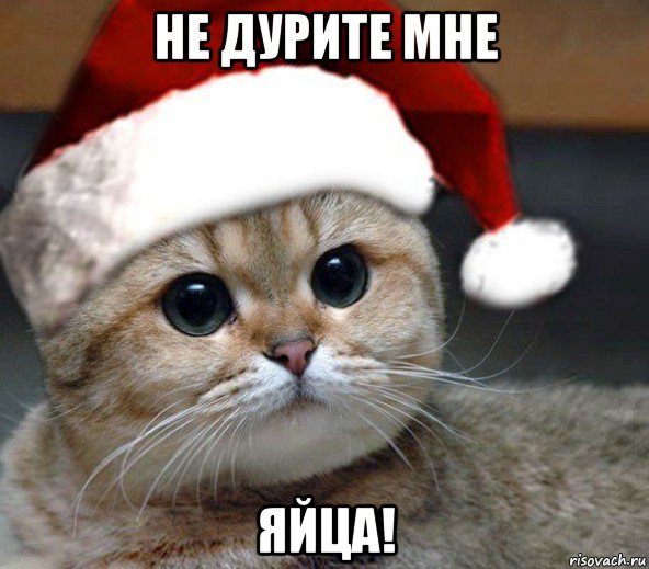 не дурите мне яйца!