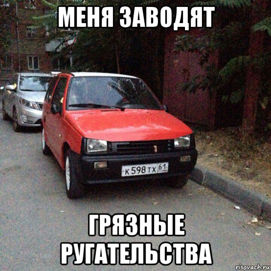 меня заводят грязные ругательства, Мем Ока