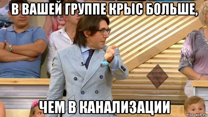 в вашей группе крыс больше, чем в канализации, Мем ОР Малахов