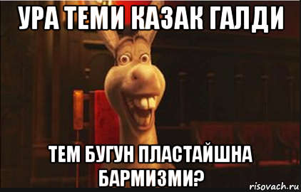 ура теми казак галди тем бугун пластайшна бармизми?, Мем Осел из Шрека