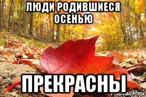 Розыгрыши на день рождение - Приколы и розыгрыши Прикольные открытки на День Рождения
