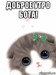 доброе утро бота! 