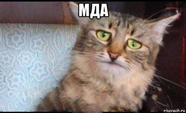 мда 