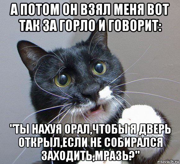 а потом он взял меня вот так за горло и говорит: "ты нахуя орал,чтобы я дверь открыл,если не собирался заходить,мразь?"
