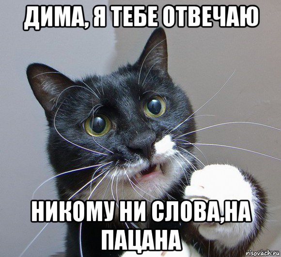 дима, я тебе отвечаю никому ни слова,на пацана
