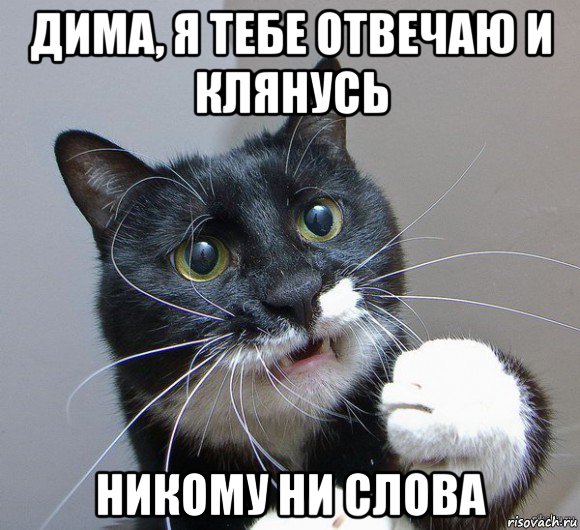 дима, я тебе отвечаю и клянусь никому ни слова