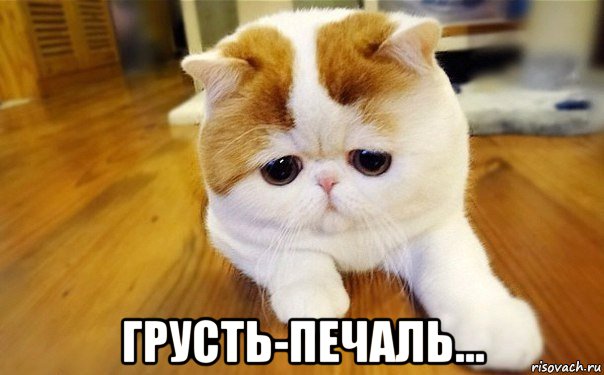  грусть-печаль...
