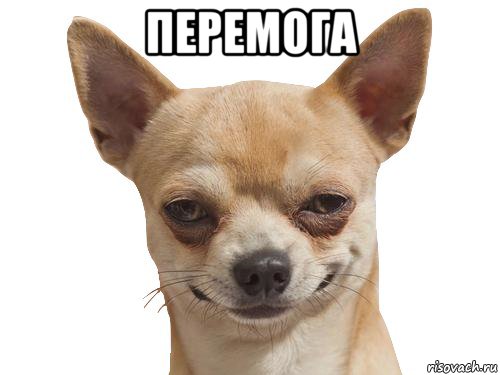 перемога , Мем Перемога