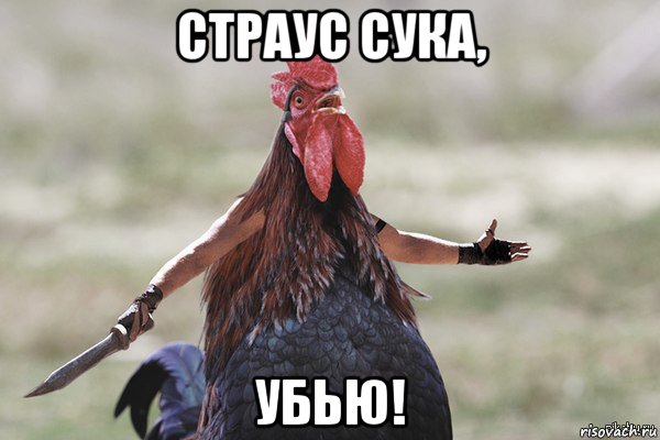 страус сука, убью!, Мем Петух