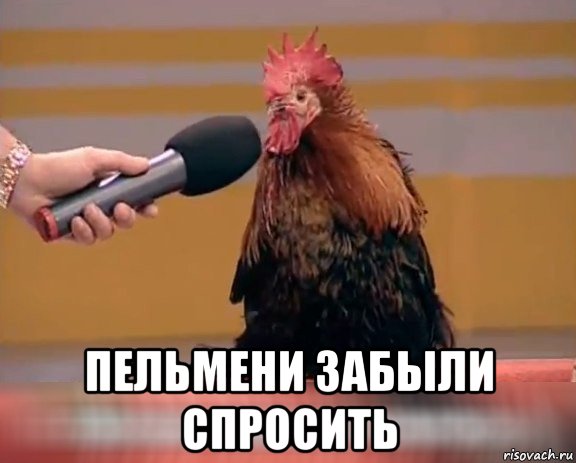  пельмени забыли спросить