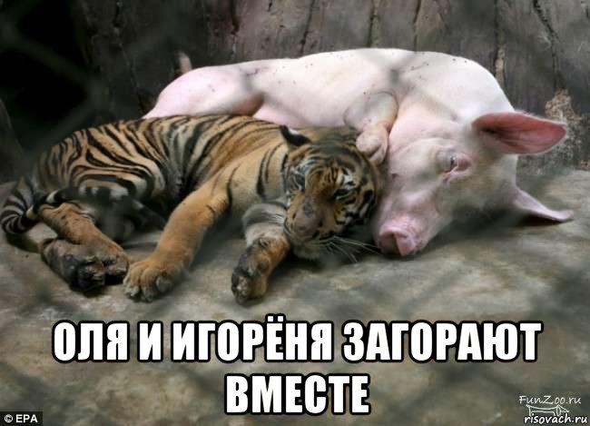  оля и игорёня загорают вместе, Мем Пноо