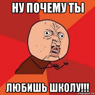 ну почему ты любишь школу!!!, Мем Почему