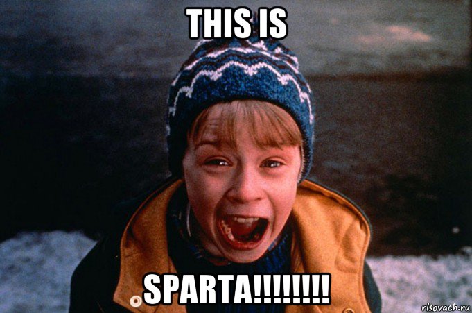 this is sparta!!!!!!!!, Мем Один дома орет