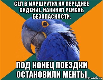 сел в маршрутку на переднее сидение, накинул ремень безопасности. под конец поездки остановили менты, Мем Попугай параноик