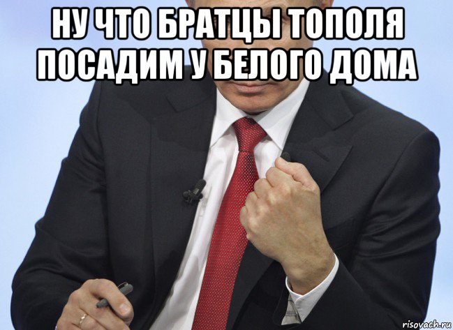 ну что братцы тополя посадим у белого дома , Мем Путин показывает кулак