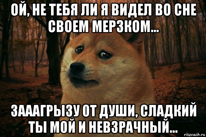 ой, не тебя ли я видел во сне своем мерзком... зааагрызу от души, сладкий ты мой и невзрачный..., Мем SAD DOGE