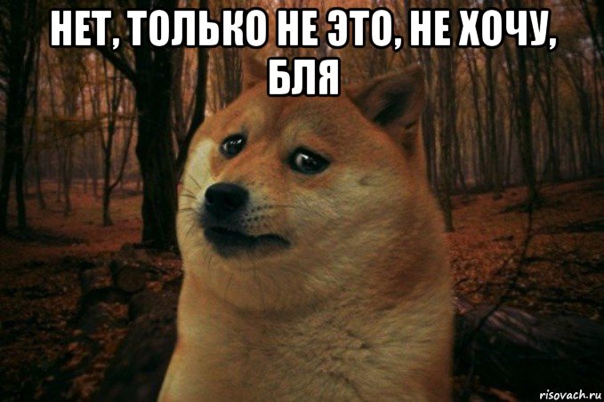 нет, только не это, не хочу, бля , Мем SAD DOGE