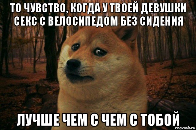 то чувство, когда у твоей девушки секс с велосипедом без сидения лучше чем с чем с тобой, Мем SAD DOGE