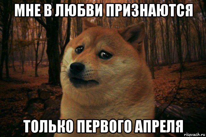 мне в любви признаются только первого апреля, Мем SAD DOGE