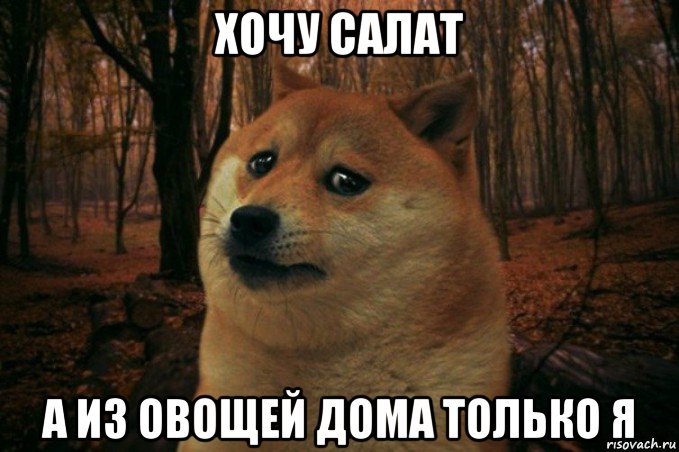 хочу салат а из овощей дома только я, Мем SAD DOGE