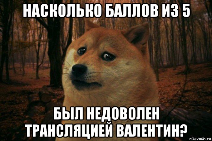 насколько баллов из 5 был недоволен трансляцией валентин?, Мем SAD DOGE