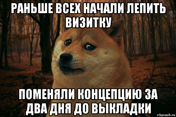 раньше всех начали лепить визитку поменяли концепцию за два дня до выкладки, Мем SAD DOGE