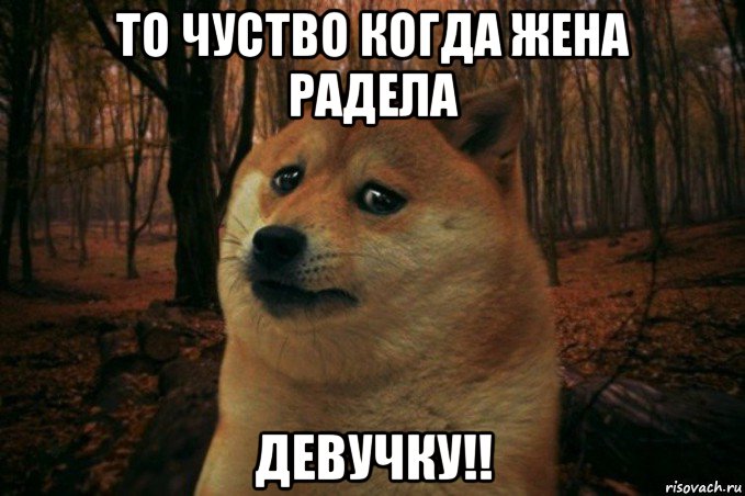 то чуство когда жена радела девучку!!, Мем SAD DOGE