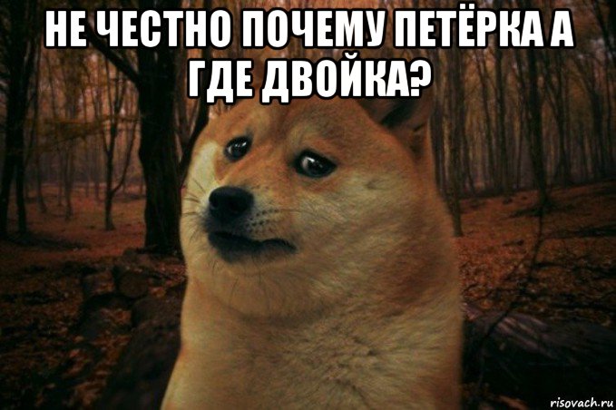 не честно почему петёрка а где двойка? , Мем SAD DOGE