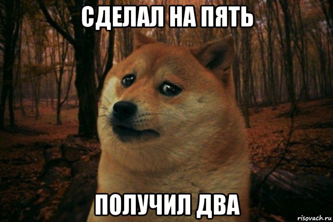 сделал на пять получил два, Мем SAD DOGE