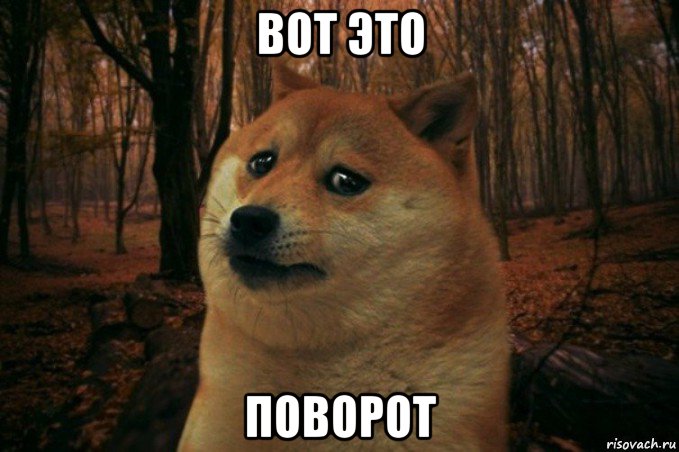 вот это поворот, Мем SAD DOGE