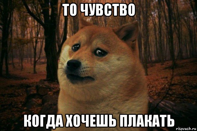 то чувство когда хочешь плакать, Мем SAD DOGE