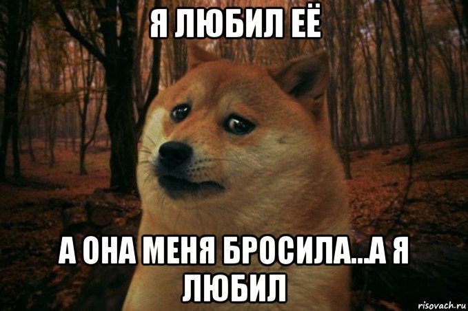 я любил её а она меня бросила...а я любил, Мем SAD DOGE