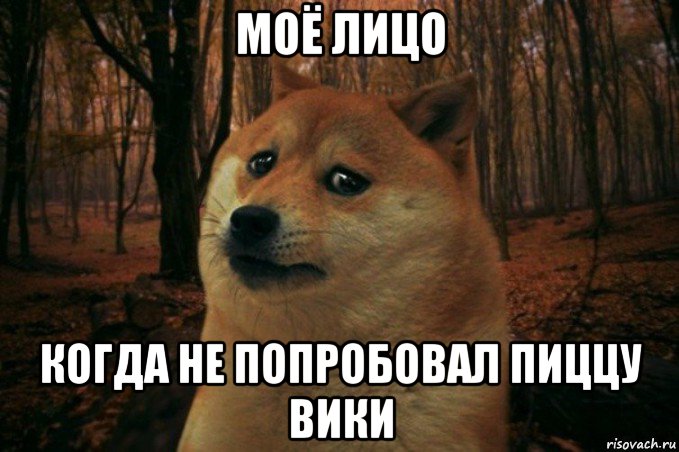 моё лицо когда не попробовал пиццу вики, Мем SAD DOGE