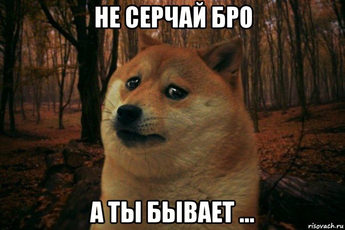 не серчай бро а ты бывает ..., Мем SAD DOGE