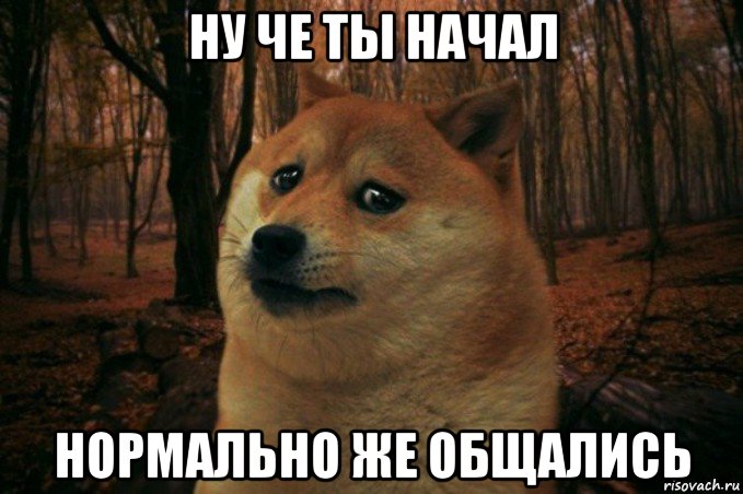 ну че ты начал нормально же общались, Мем SAD DOGE