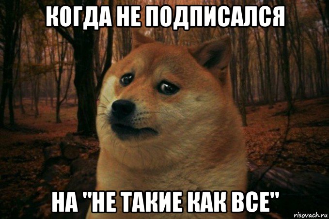 когда не подписался на "не такие как все", Мем SAD DOGE