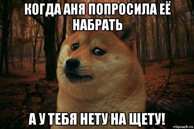 когда аня попросила её набрать а у тебя нету на щету!, Мем SAD DOGE